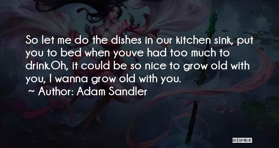 Adam Sandler Quotes: So Let Me Do The Dishes In Our Kitchen Sink, Put You To Bed When Youve Had Too Much To