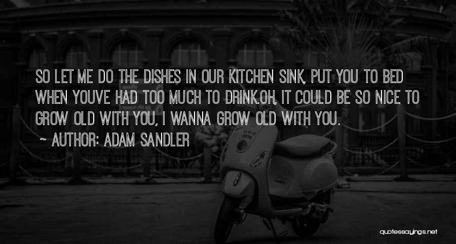 Adam Sandler Quotes: So Let Me Do The Dishes In Our Kitchen Sink, Put You To Bed When Youve Had Too Much To