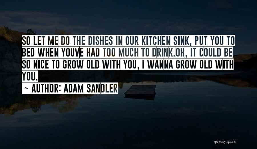 Adam Sandler Quotes: So Let Me Do The Dishes In Our Kitchen Sink, Put You To Bed When Youve Had Too Much To