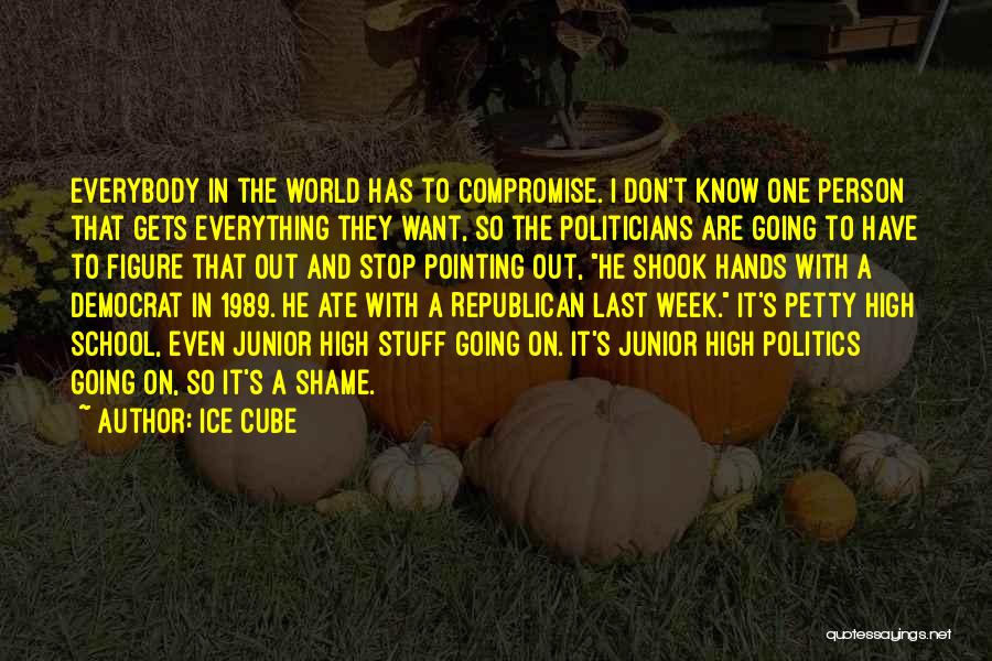 Ice Cube Quotes: Everybody In The World Has To Compromise. I Don't Know One Person That Gets Everything They Want, So The Politicians