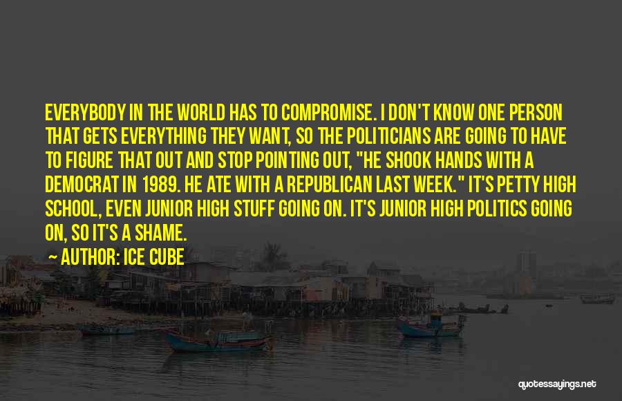 Ice Cube Quotes: Everybody In The World Has To Compromise. I Don't Know One Person That Gets Everything They Want, So The Politicians
