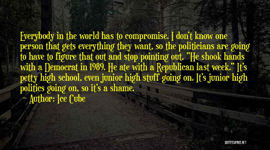 Ice Cube Quotes: Everybody In The World Has To Compromise. I Don't Know One Person That Gets Everything They Want, So The Politicians