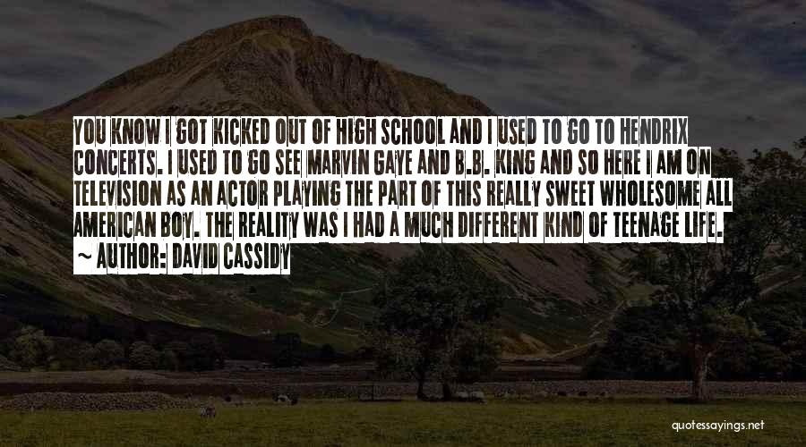 David Cassidy Quotes: You Know I Got Kicked Out Of High School And I Used To Go To Hendrix Concerts. I Used To