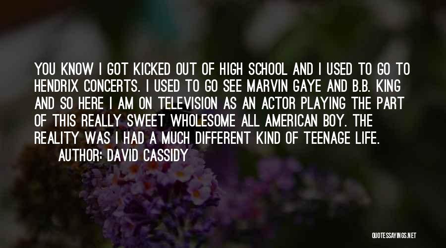 David Cassidy Quotes: You Know I Got Kicked Out Of High School And I Used To Go To Hendrix Concerts. I Used To