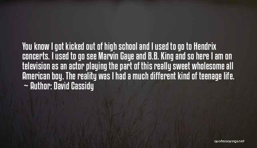 David Cassidy Quotes: You Know I Got Kicked Out Of High School And I Used To Go To Hendrix Concerts. I Used To