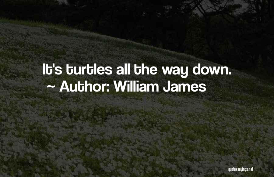 William James Quotes: It's Turtles All The Way Down.