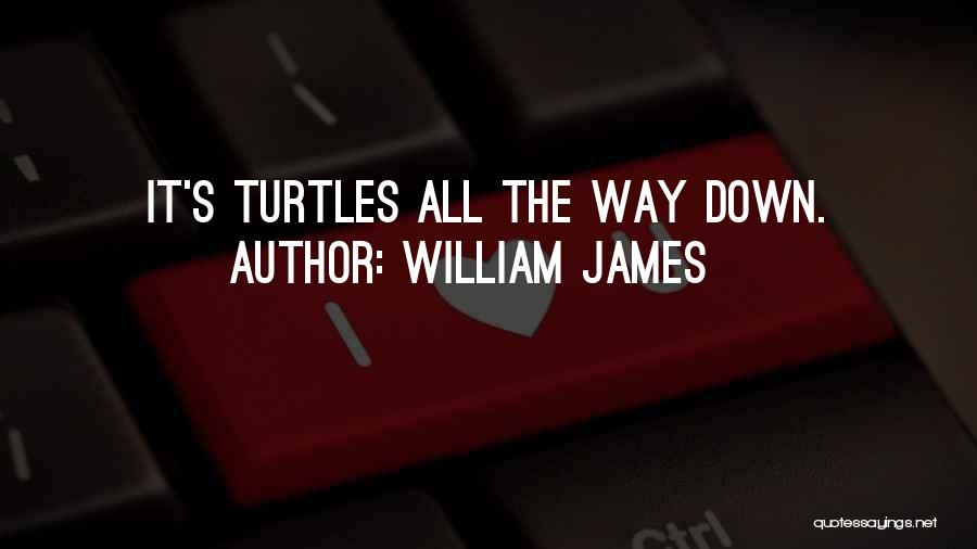William James Quotes: It's Turtles All The Way Down.