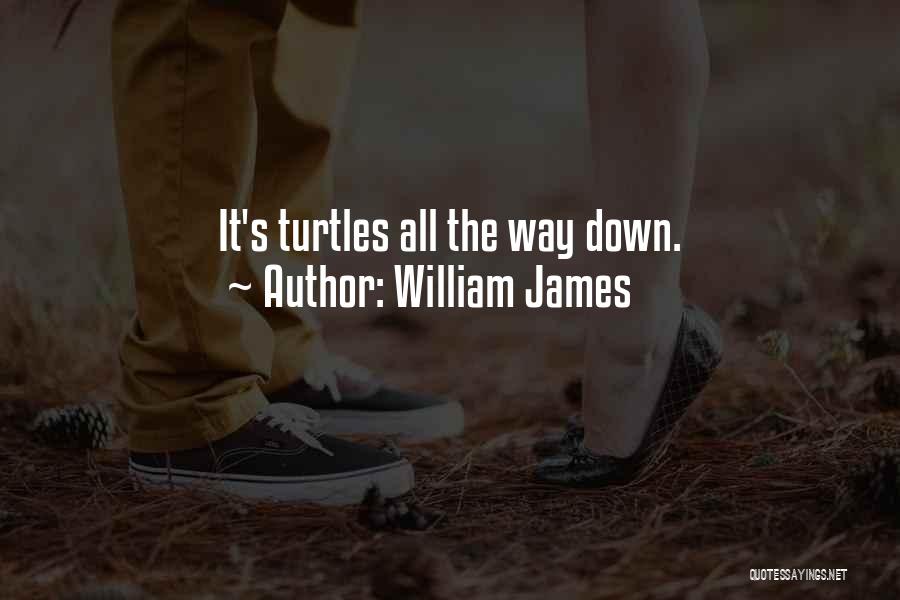 William James Quotes: It's Turtles All The Way Down.