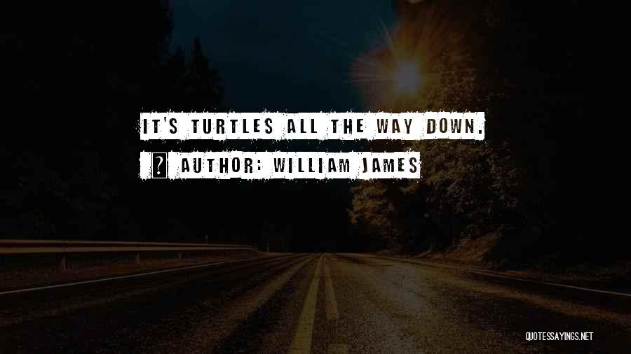 William James Quotes: It's Turtles All The Way Down.