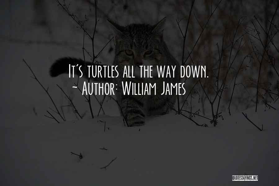 William James Quotes: It's Turtles All The Way Down.