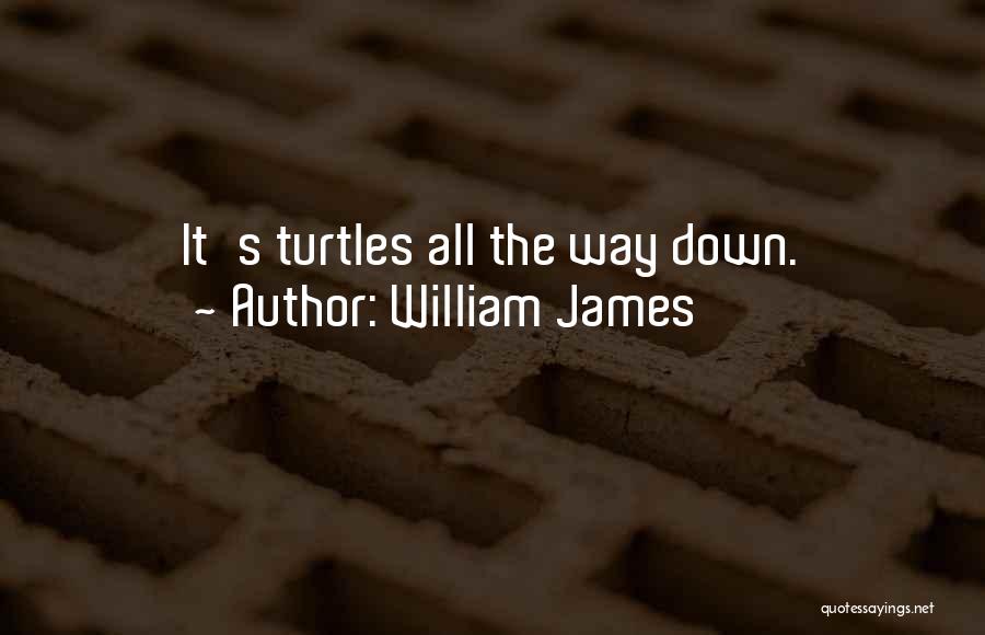 William James Quotes: It's Turtles All The Way Down.