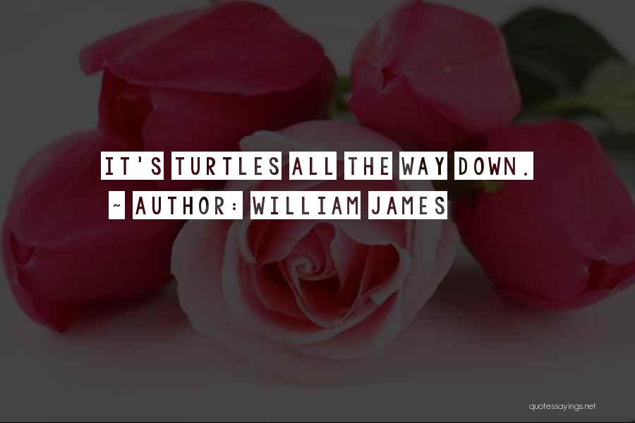William James Quotes: It's Turtles All The Way Down.