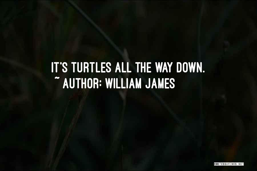 William James Quotes: It's Turtles All The Way Down.
