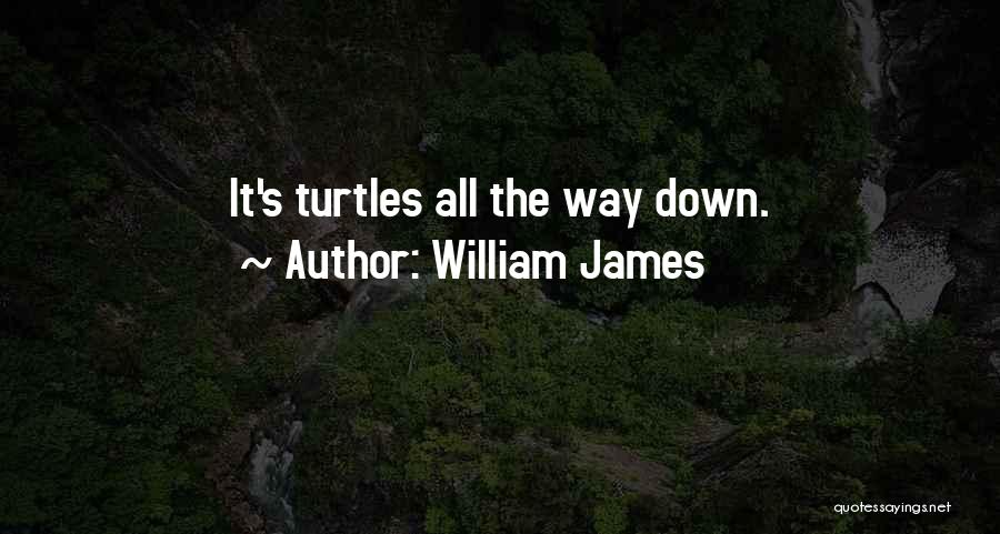 William James Quotes: It's Turtles All The Way Down.