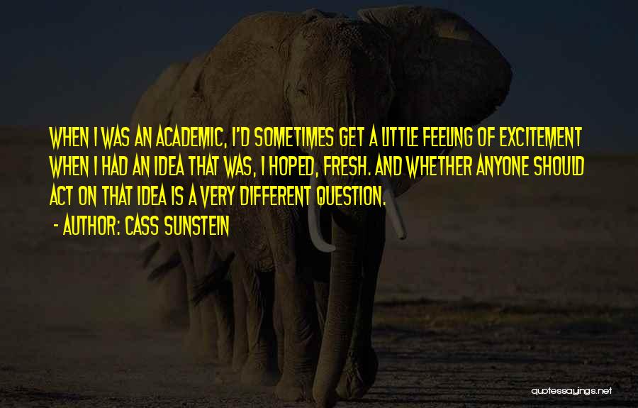 Cass Sunstein Quotes: When I Was An Academic, I'd Sometimes Get A Little Feeling Of Excitement When I Had An Idea That Was,