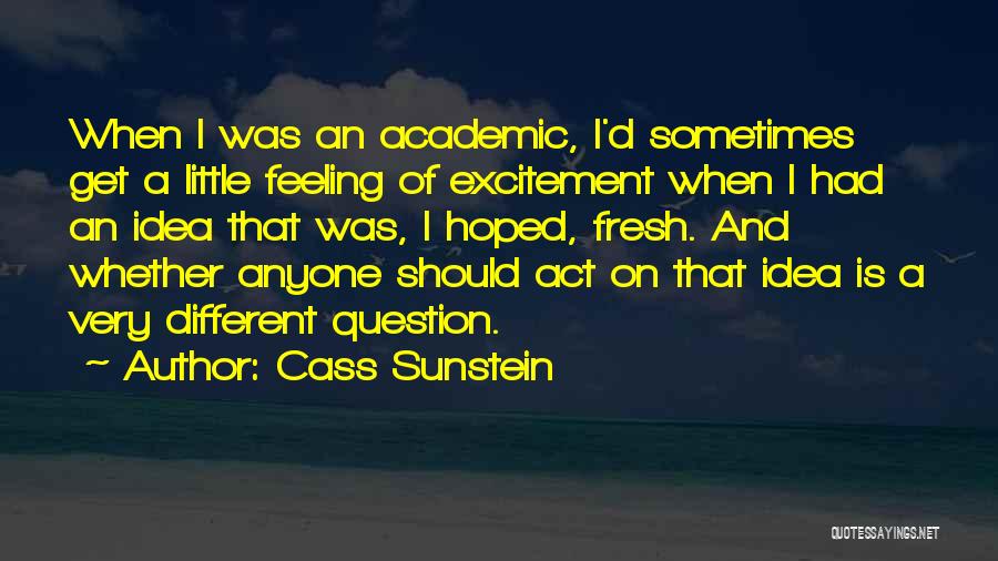 Cass Sunstein Quotes: When I Was An Academic, I'd Sometimes Get A Little Feeling Of Excitement When I Had An Idea That Was,
