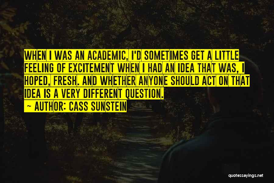 Cass Sunstein Quotes: When I Was An Academic, I'd Sometimes Get A Little Feeling Of Excitement When I Had An Idea That Was,