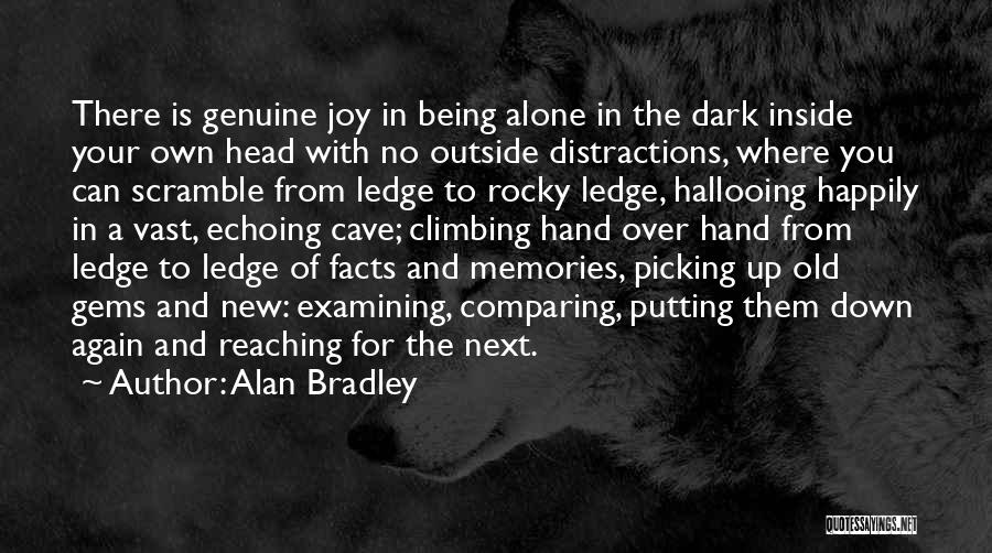 Alan Bradley Quotes: There Is Genuine Joy In Being Alone In The Dark Inside Your Own Head With No Outside Distractions, Where You