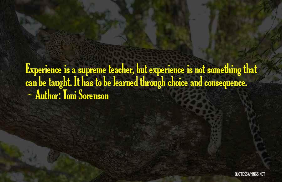 Toni Sorenson Quotes: Experience Is A Supreme Teacher, But Experience Is Not Something That Can Be Taught. It Has To Be Learned Through