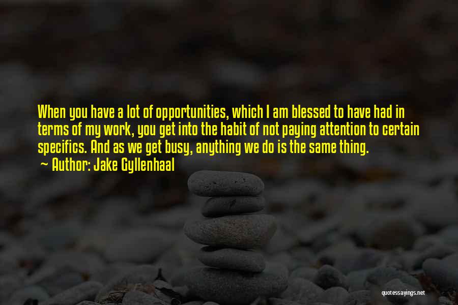 Jake Gyllenhaal Quotes: When You Have A Lot Of Opportunities, Which I Am Blessed To Have Had In Terms Of My Work, You