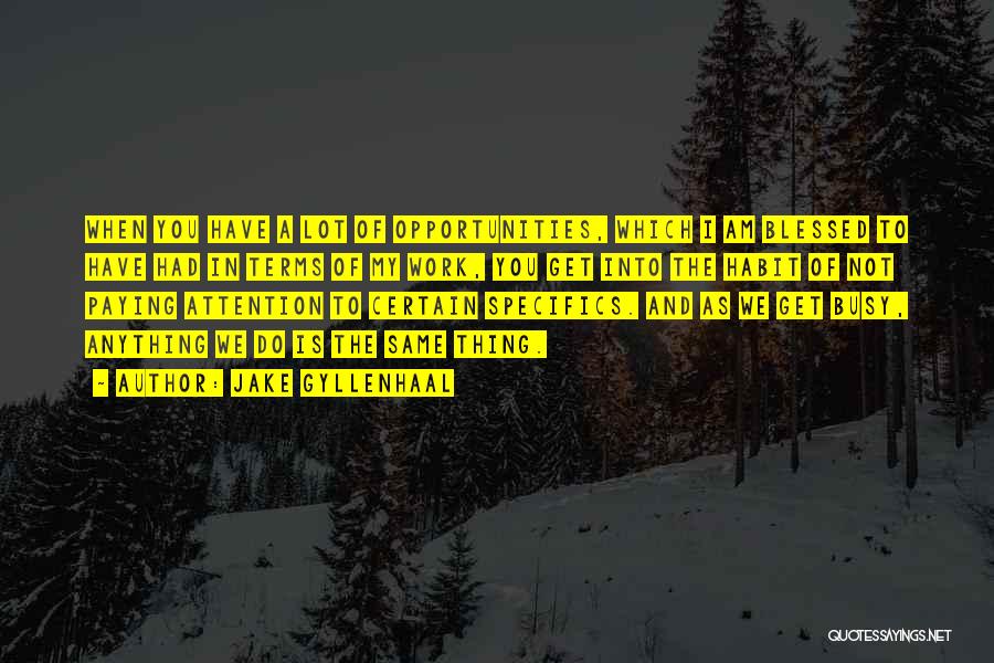 Jake Gyllenhaal Quotes: When You Have A Lot Of Opportunities, Which I Am Blessed To Have Had In Terms Of My Work, You