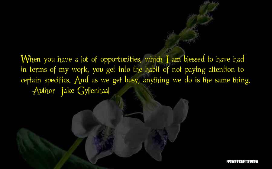 Jake Gyllenhaal Quotes: When You Have A Lot Of Opportunities, Which I Am Blessed To Have Had In Terms Of My Work, You