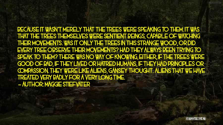 Maggie Stiefvater Quotes: Because It Wasn't Merely That The Trees Were Speaking To Them. It Was That The Trees Themselves Were Sentient Beings,