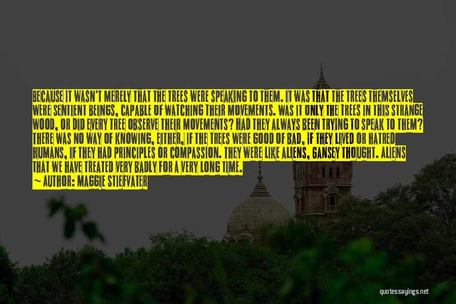 Maggie Stiefvater Quotes: Because It Wasn't Merely That The Trees Were Speaking To Them. It Was That The Trees Themselves Were Sentient Beings,