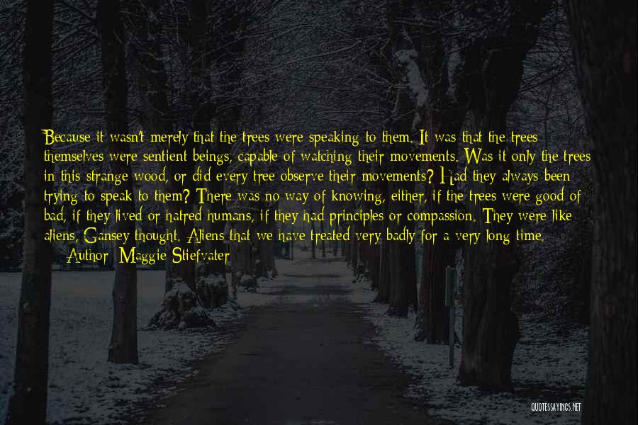 Maggie Stiefvater Quotes: Because It Wasn't Merely That The Trees Were Speaking To Them. It Was That The Trees Themselves Were Sentient Beings,