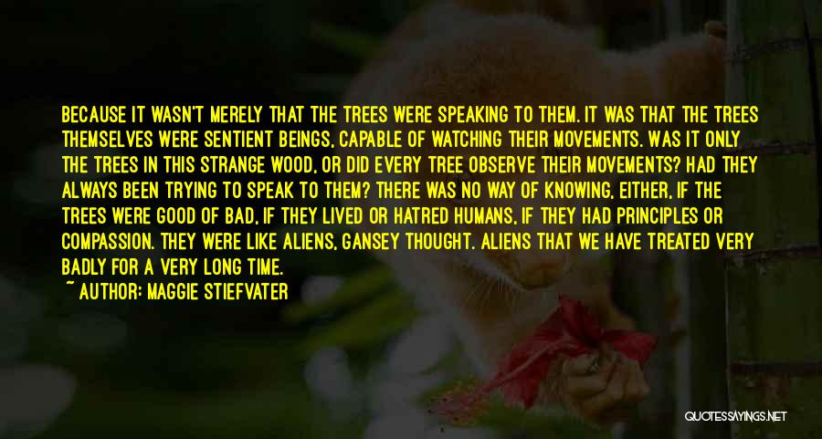 Maggie Stiefvater Quotes: Because It Wasn't Merely That The Trees Were Speaking To Them. It Was That The Trees Themselves Were Sentient Beings,
