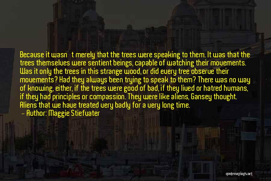 Maggie Stiefvater Quotes: Because It Wasn't Merely That The Trees Were Speaking To Them. It Was That The Trees Themselves Were Sentient Beings,