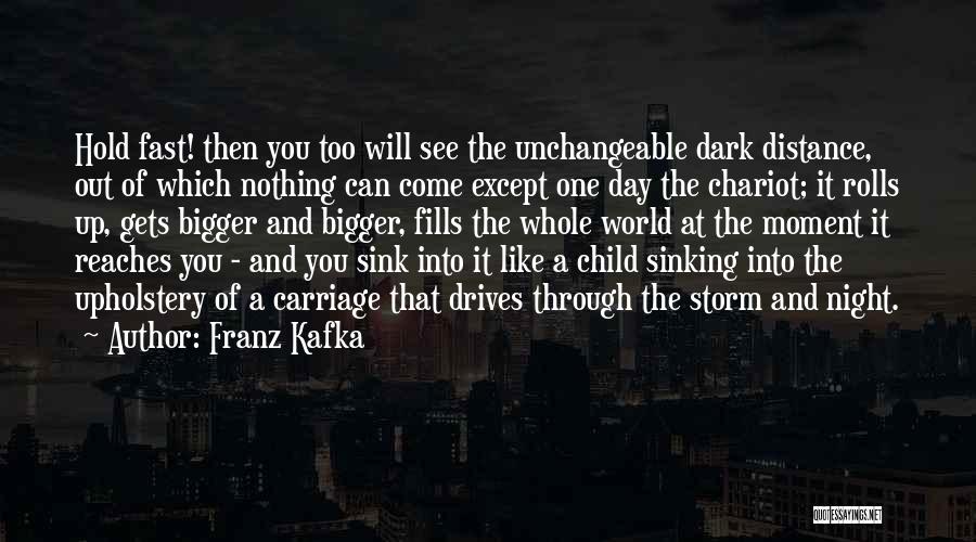 Franz Kafka Quotes: Hold Fast! Then You Too Will See The Unchangeable Dark Distance, Out Of Which Nothing Can Come Except One Day