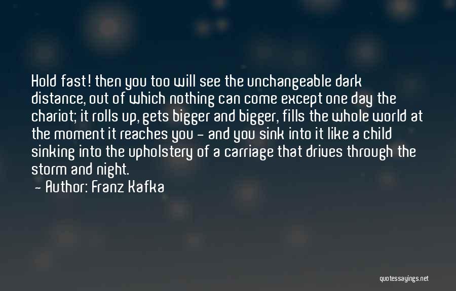Franz Kafka Quotes: Hold Fast! Then You Too Will See The Unchangeable Dark Distance, Out Of Which Nothing Can Come Except One Day