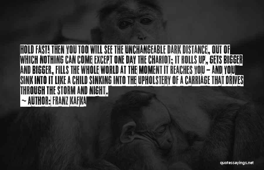 Franz Kafka Quotes: Hold Fast! Then You Too Will See The Unchangeable Dark Distance, Out Of Which Nothing Can Come Except One Day