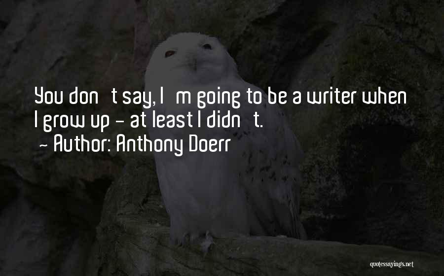 Anthony Doerr Quotes: You Don't Say, I'm Going To Be A Writer When I Grow Up - At Least I Didn't.