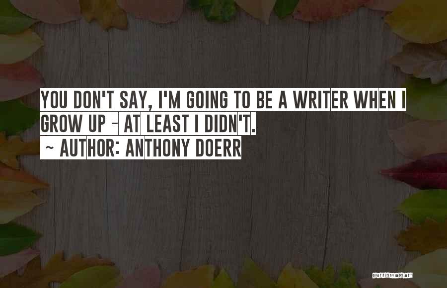 Anthony Doerr Quotes: You Don't Say, I'm Going To Be A Writer When I Grow Up - At Least I Didn't.