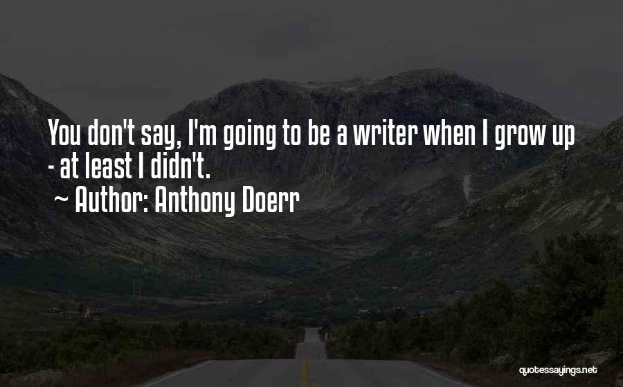 Anthony Doerr Quotes: You Don't Say, I'm Going To Be A Writer When I Grow Up - At Least I Didn't.