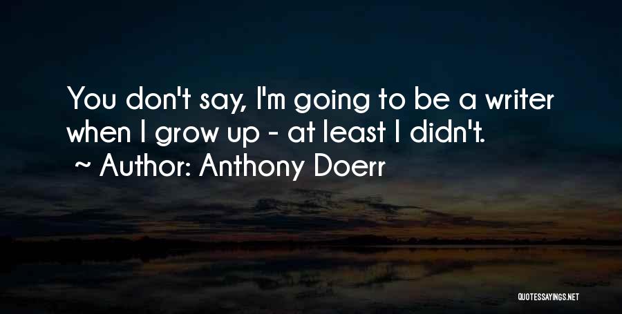 Anthony Doerr Quotes: You Don't Say, I'm Going To Be A Writer When I Grow Up - At Least I Didn't.