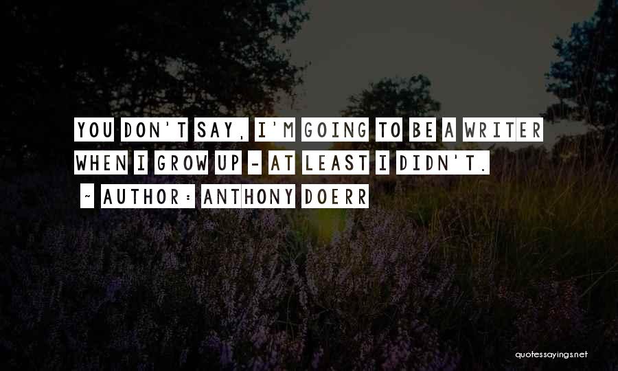 Anthony Doerr Quotes: You Don't Say, I'm Going To Be A Writer When I Grow Up - At Least I Didn't.