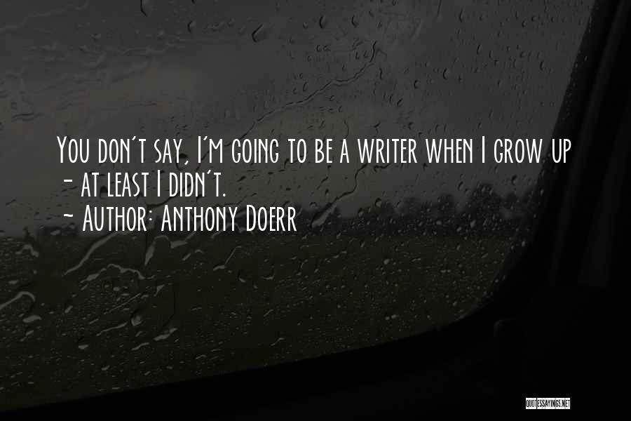 Anthony Doerr Quotes: You Don't Say, I'm Going To Be A Writer When I Grow Up - At Least I Didn't.