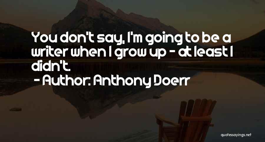 Anthony Doerr Quotes: You Don't Say, I'm Going To Be A Writer When I Grow Up - At Least I Didn't.