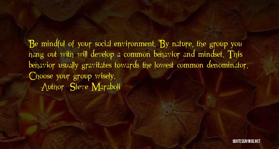 Steve Maraboli Quotes: Be Mindful Of Your Social Environment. By Nature, The Group You Hang-out With Will Develop A Common Behavior And Mindset.