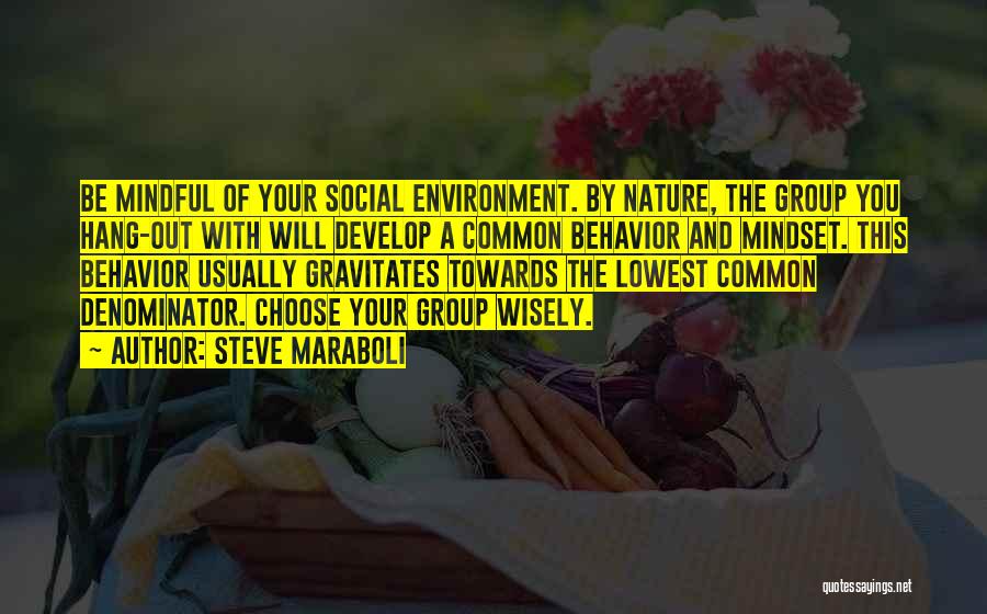 Steve Maraboli Quotes: Be Mindful Of Your Social Environment. By Nature, The Group You Hang-out With Will Develop A Common Behavior And Mindset.