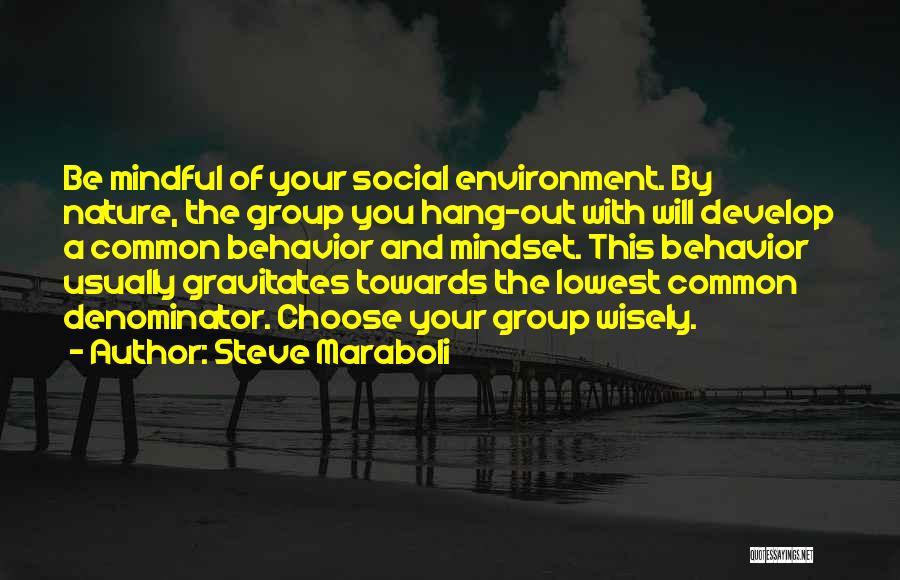 Steve Maraboli Quotes: Be Mindful Of Your Social Environment. By Nature, The Group You Hang-out With Will Develop A Common Behavior And Mindset.