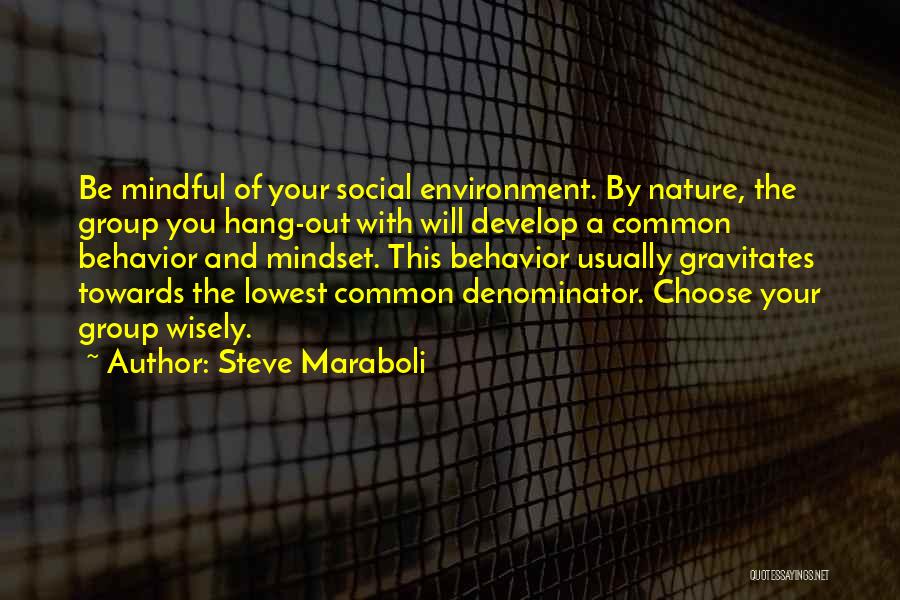 Steve Maraboli Quotes: Be Mindful Of Your Social Environment. By Nature, The Group You Hang-out With Will Develop A Common Behavior And Mindset.