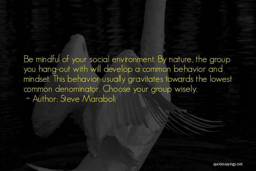 Steve Maraboli Quotes: Be Mindful Of Your Social Environment. By Nature, The Group You Hang-out With Will Develop A Common Behavior And Mindset.