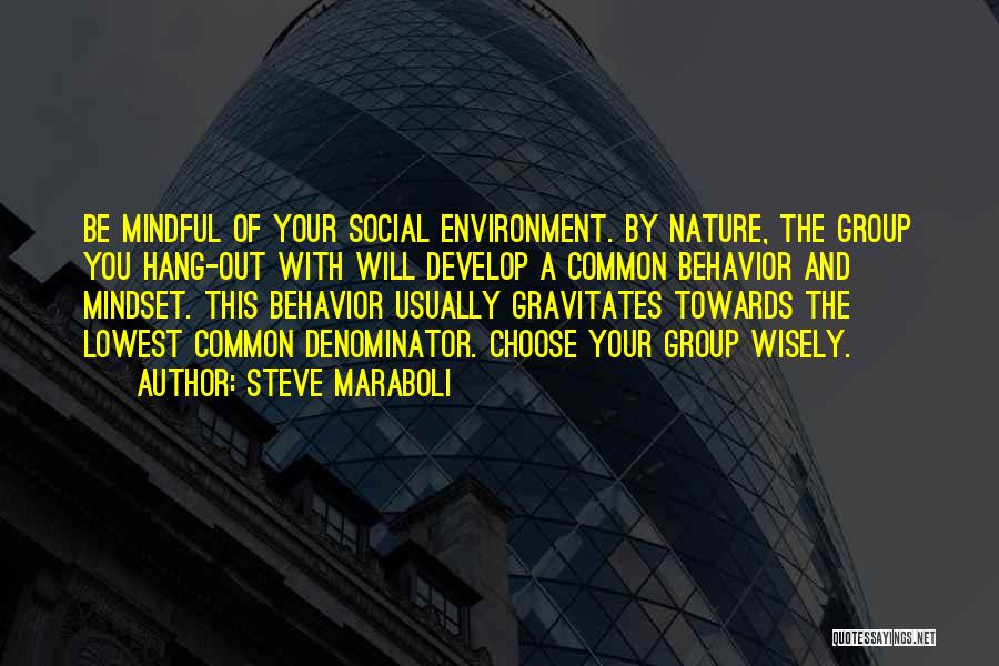 Steve Maraboli Quotes: Be Mindful Of Your Social Environment. By Nature, The Group You Hang-out With Will Develop A Common Behavior And Mindset.