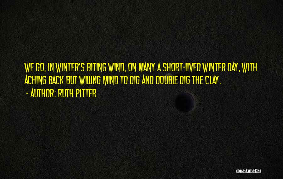 Ruth Pitter Quotes: We Go, In Winter's Biting Wind, On Many A Short-lived Winter Day, With Aching Back But Willing Mind To Dig