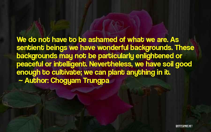 Chogyam Trungpa Quotes: We Do Not Have To Be Ashamed Of What We Are. As Sentient Beings We Have Wonderful Backgrounds. These Backgrounds