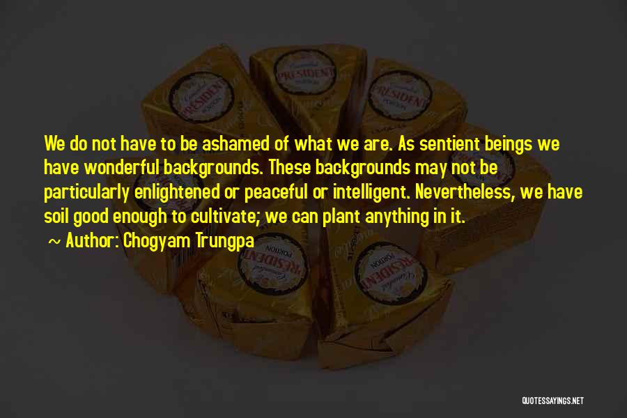 Chogyam Trungpa Quotes: We Do Not Have To Be Ashamed Of What We Are. As Sentient Beings We Have Wonderful Backgrounds. These Backgrounds